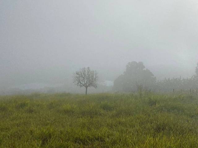 #2981 - Chácara para Venda em Piraju - SP - 3