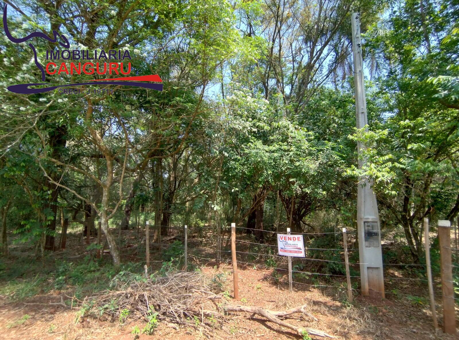 Terreno à venda, 1000m² - Foto 2