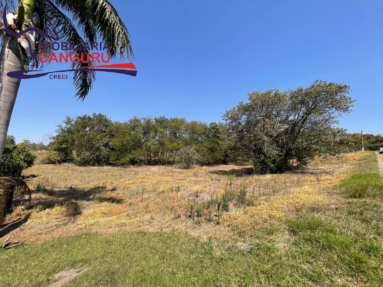 Terreno, 2000 m² - Foto 5