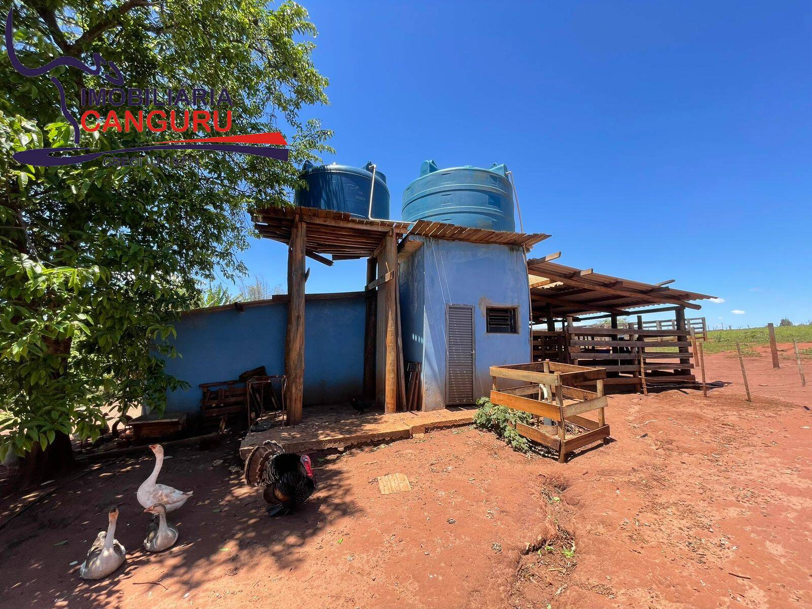 Sítio, 10 quartos, 11 m² - Foto 23