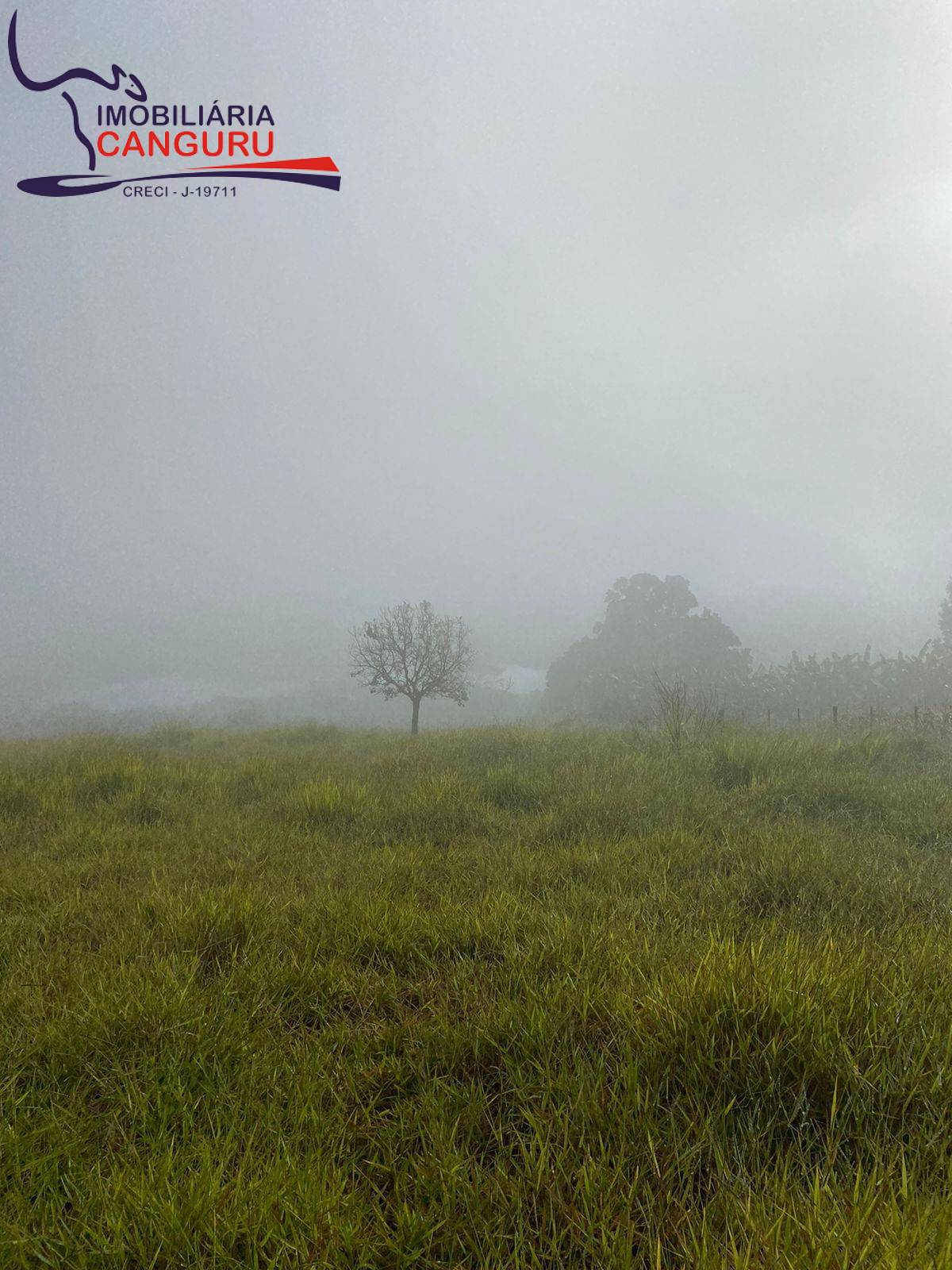 Terreno, 1 hectares - Foto 3