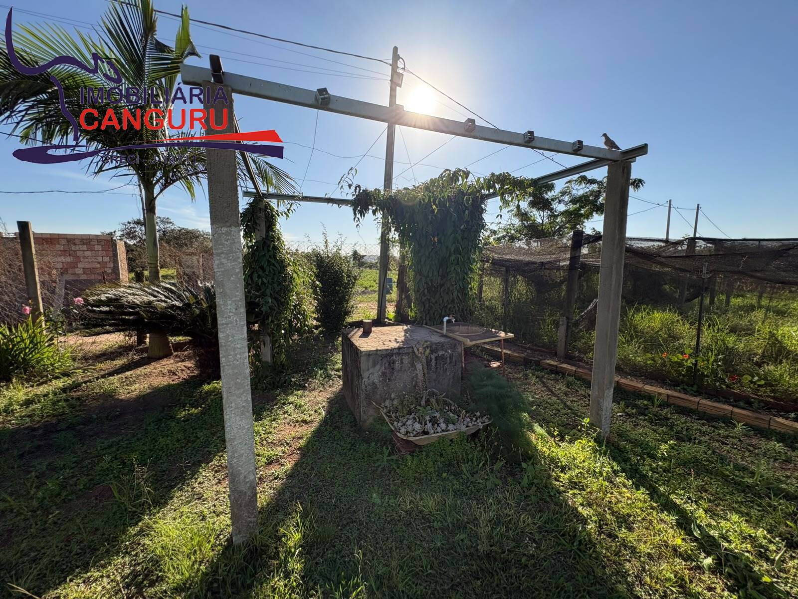 Sítio, 3 quartos, 3 hectares - Foto 27
